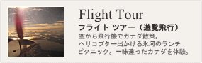 オプショナルツアー・遊覧飛行