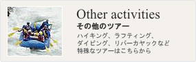 その他のツアー