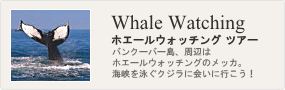 オプショナルツアー・ホエールウォッチング