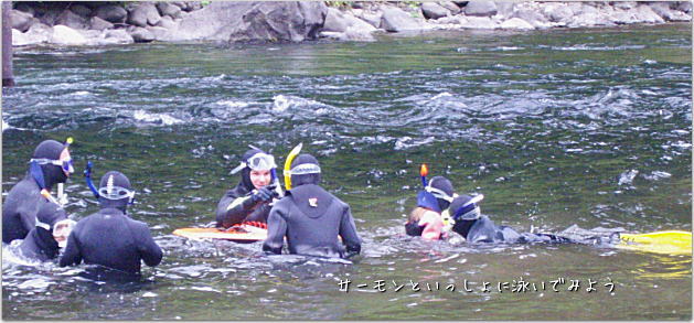 サーモンと泳ぐシュノーケリングツアー